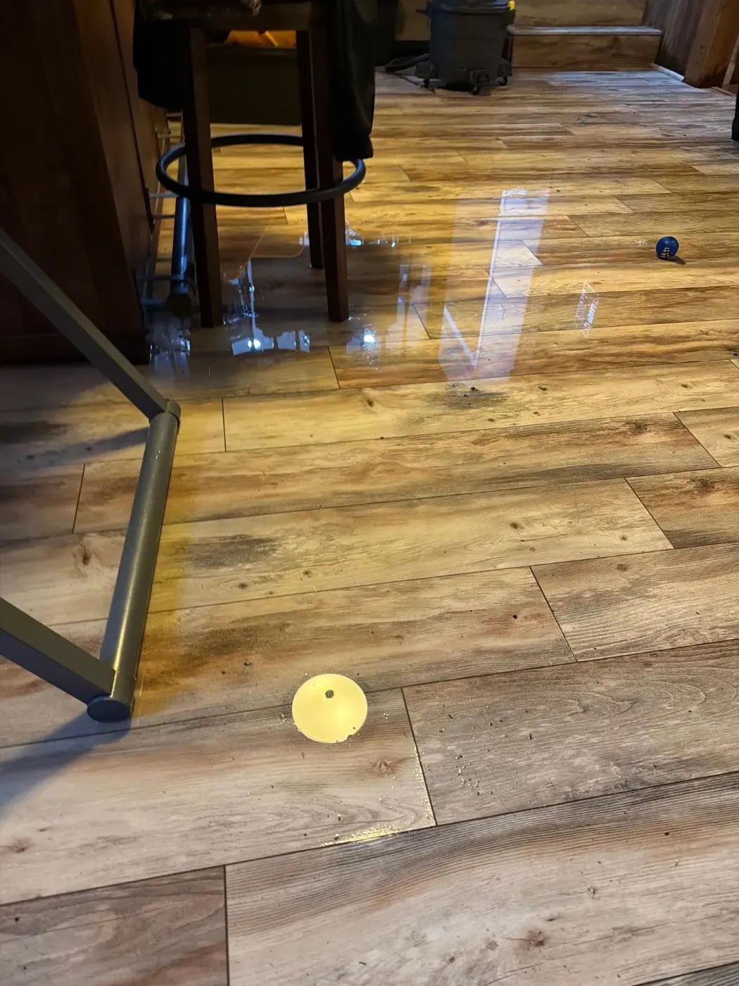 Thermal imaging during water damage assessment in Indian Lake residence